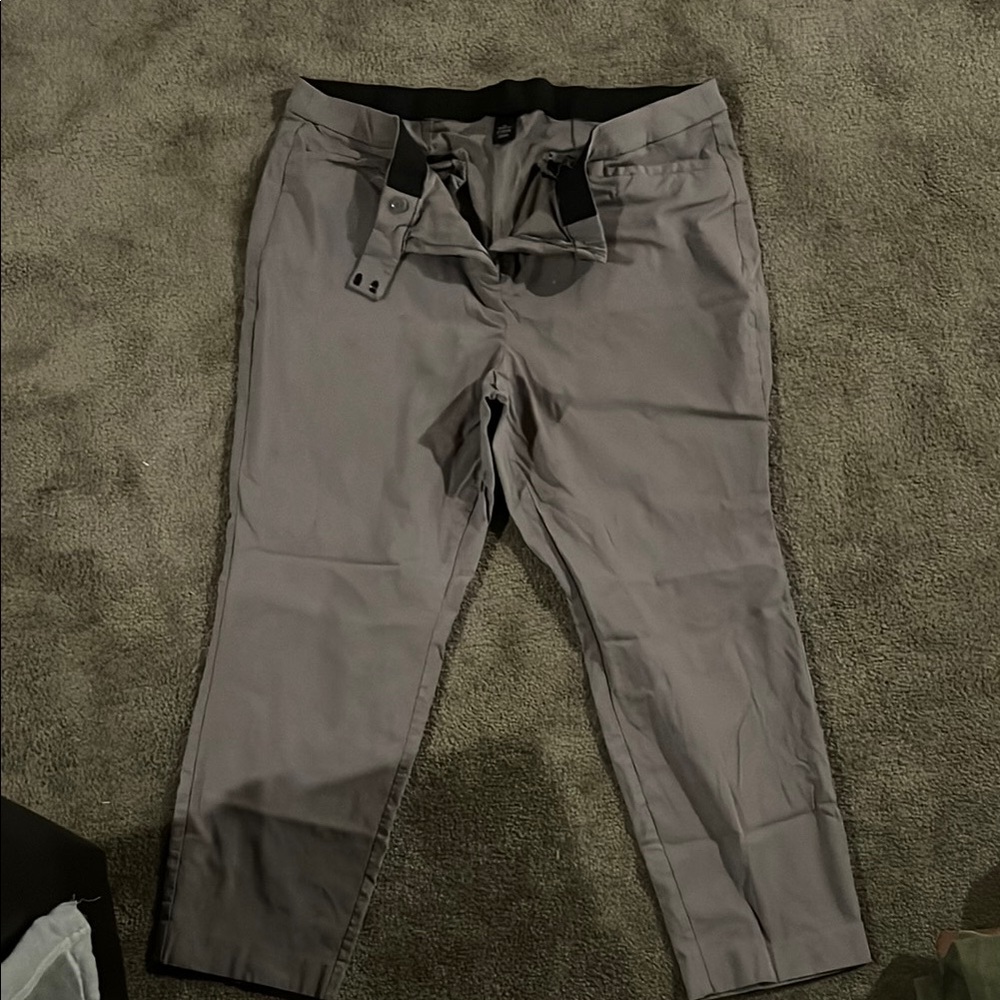 Lane Bryant Pants 22 Regular